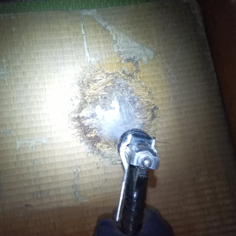 シロアリ駆除の施工事例（東京都板橋区大谷口上町）