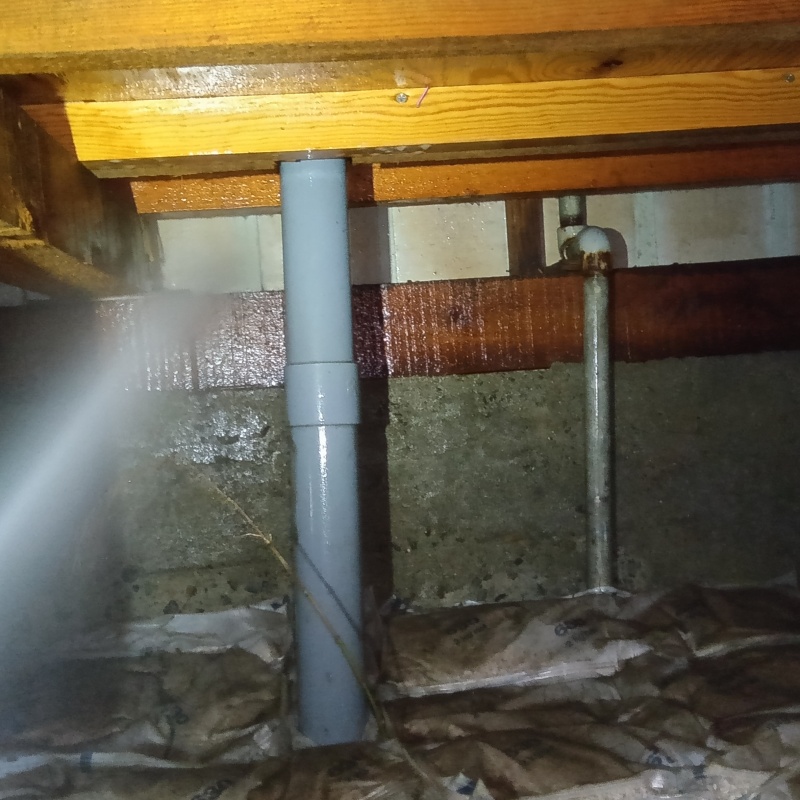 床下木材にシロアリ駆除剤を吹き付ける様子