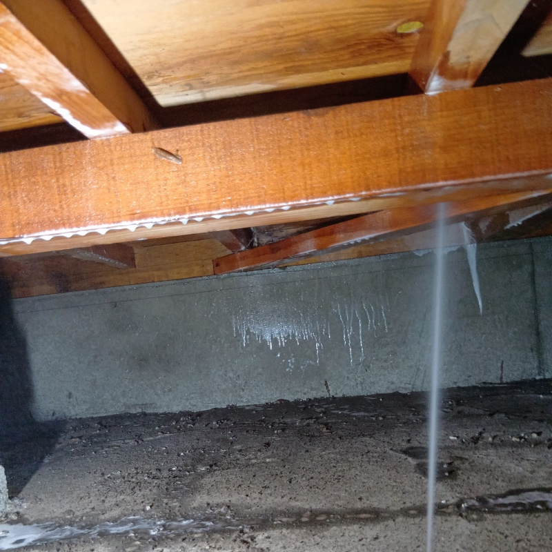 床下木材にシロアリ駆除剤を散布