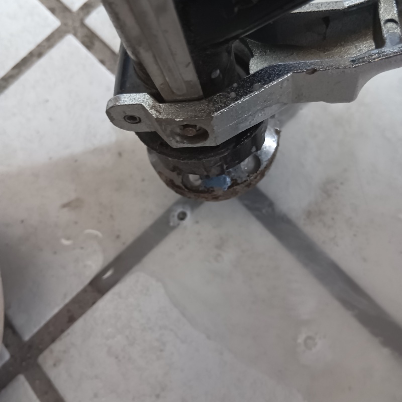 玄関床の目地からシロアリ駆除剤を注入