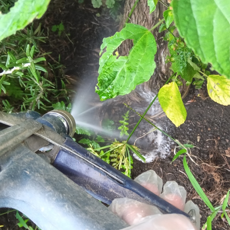 建物外周の土壌にシロアリ駆除剤を散布