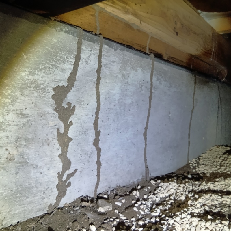 築年数50年のシロアリ駆除の施工事例（千葉県長生郡長生村一松戊）