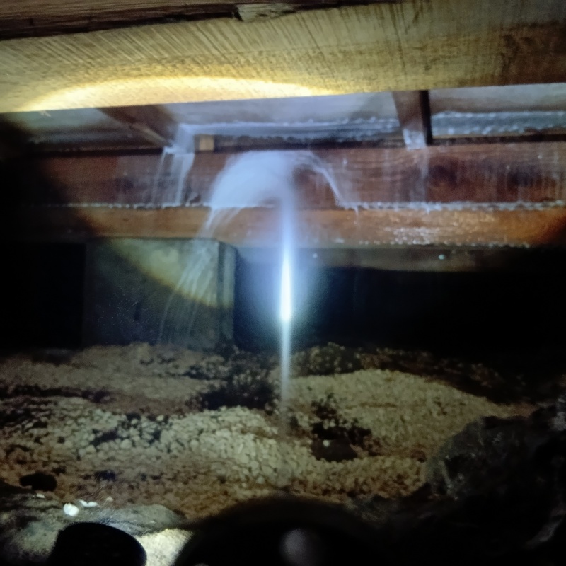 床下木材にシロアリ駆除剤を散布