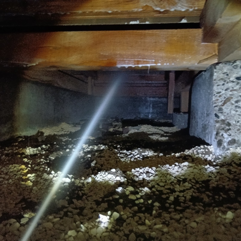 床下木材にシロアリ駆除剤を吹き付ける様子