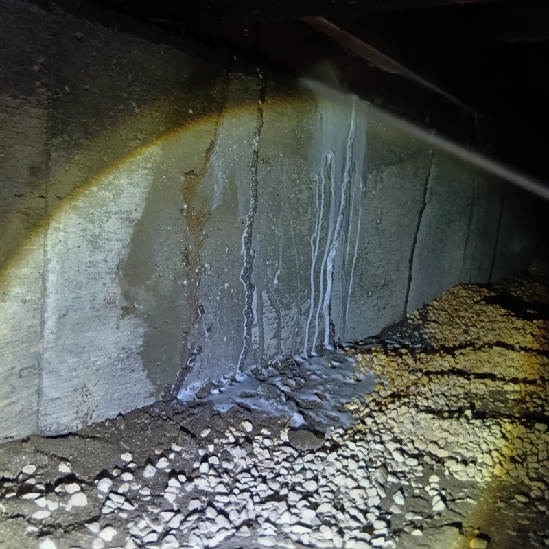 基礎にシロアリ駆除剤を散布