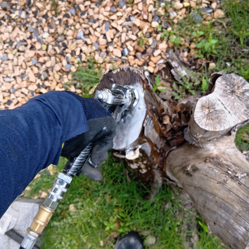 庭の切り株にシロアリ駆除剤を吹き付ける様子
