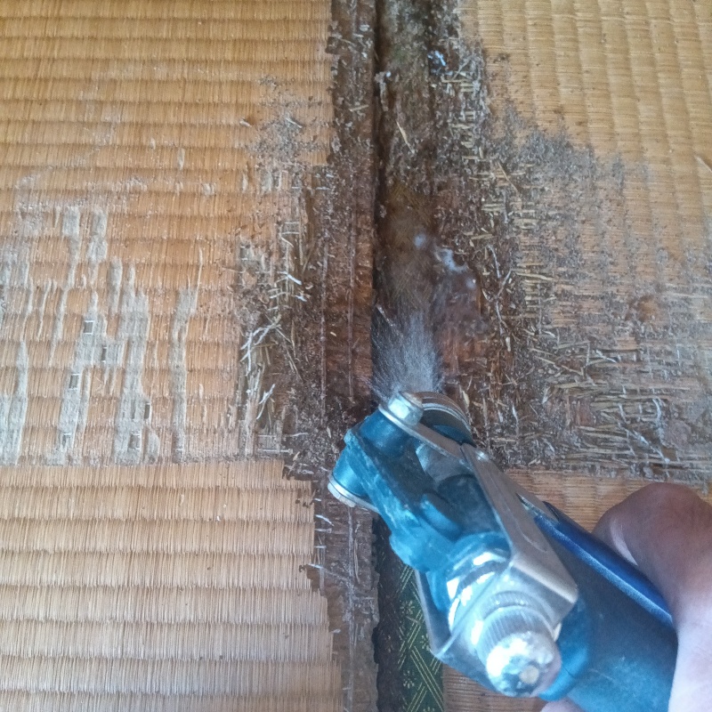 築年数50年のシロアリ駆除の施工事例（福岡県大牟田市千代町）