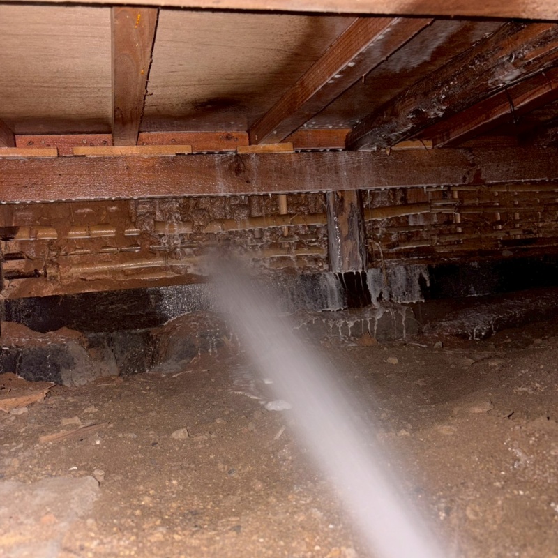 床下木材に防蟻剤を吹き付ける様子