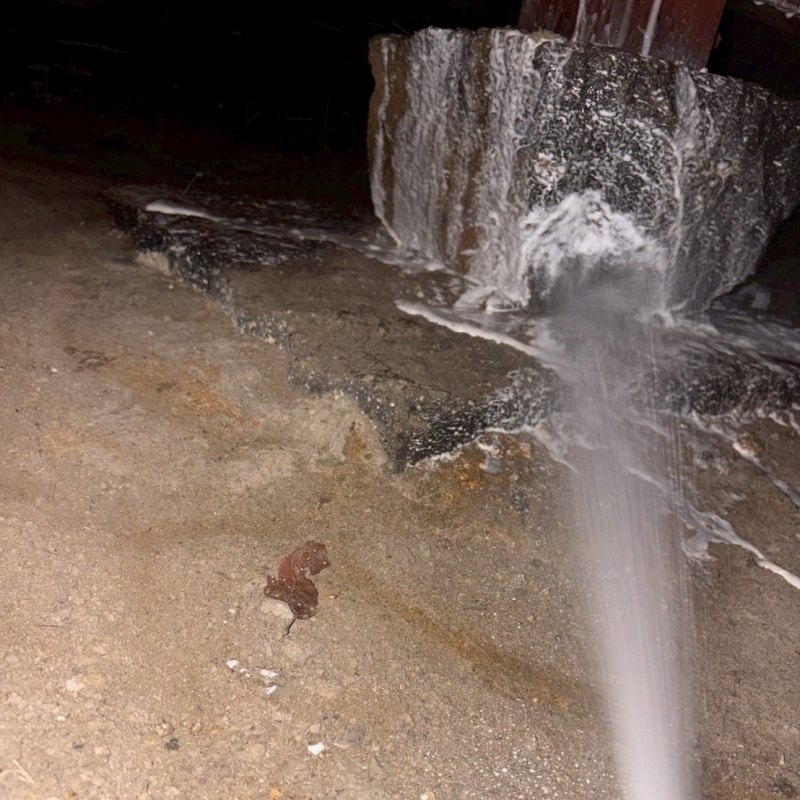 束石まわりに防蟻剤を吹き付ける様子