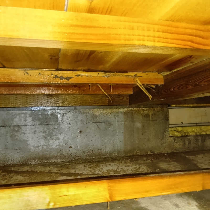 床下木材にシロアリ駆除剤を散布した様子