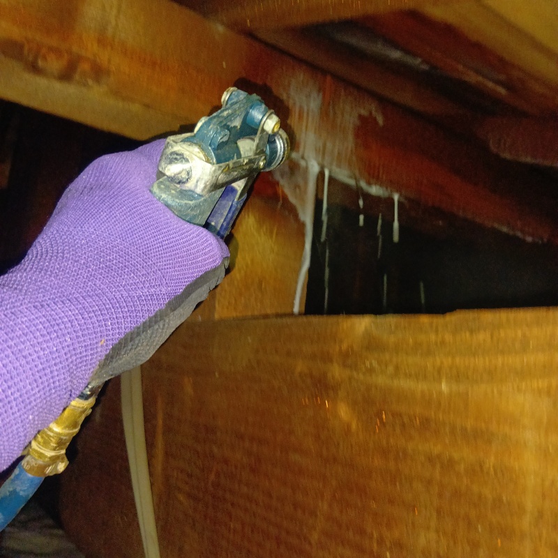 床下木材にシロアリ駆除剤を吹き付ける様子