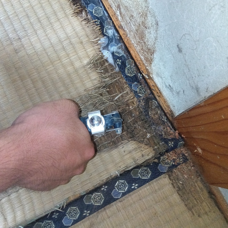 築年数40年のシロアリ駆除の施工事例（福岡県小郡市小郡）