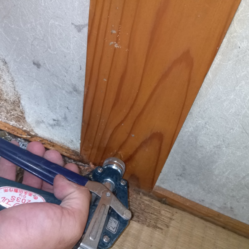 木の柱に穴を開けてシロアリ駆除剤を注入