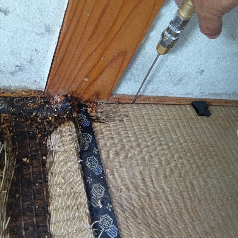 木部に穴を開けてシロアリ駆除剤を注入