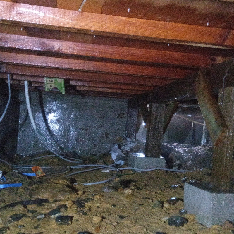 築年数50年のシロアリ駆除の施工事例（岡山県浅口市金光町占見新田）