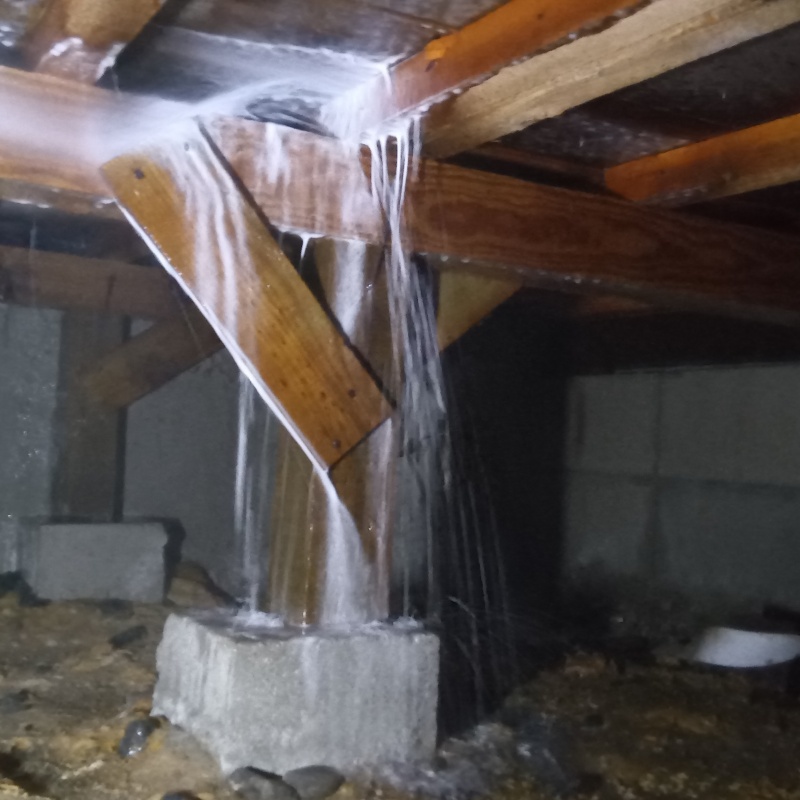 床下木材にシロアリ駆除剤を吹き付ける様子