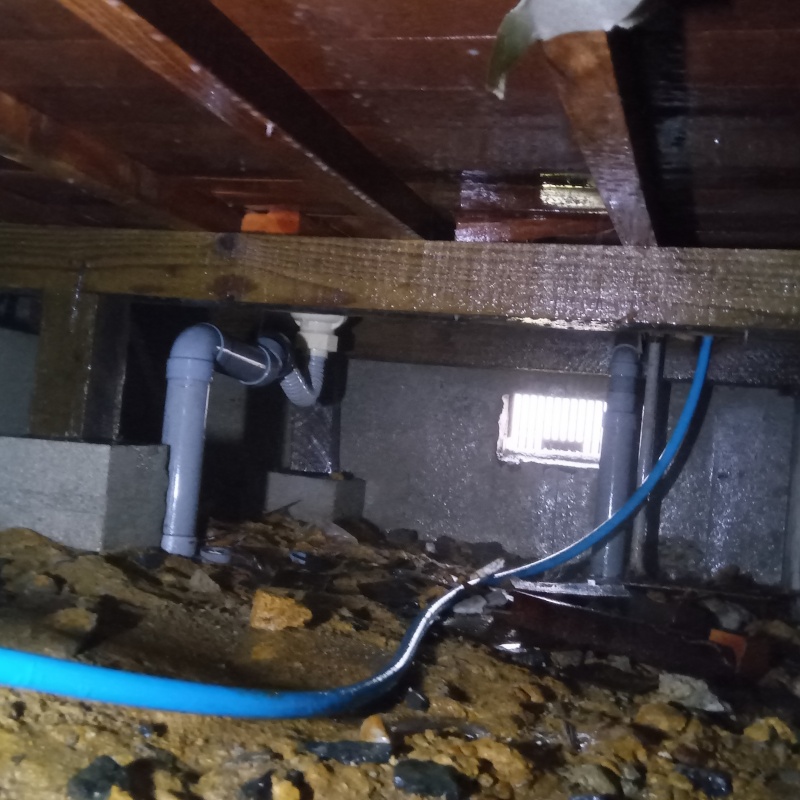 地面・基礎にシロアリ駆除剤を散布した様子