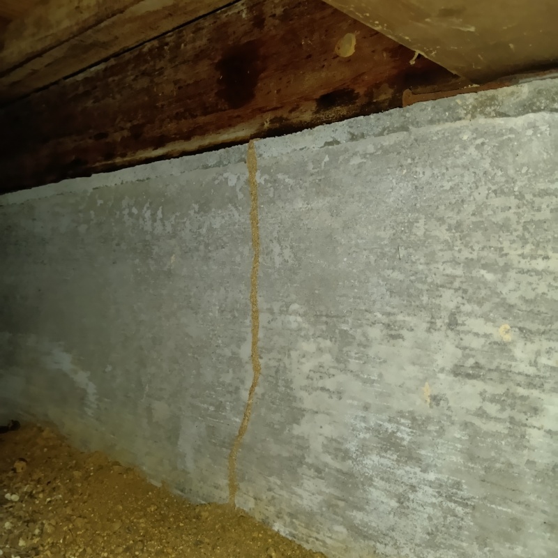 築年数40年のシロアリ駆除の施工事例（香川県木田郡三木町井上）