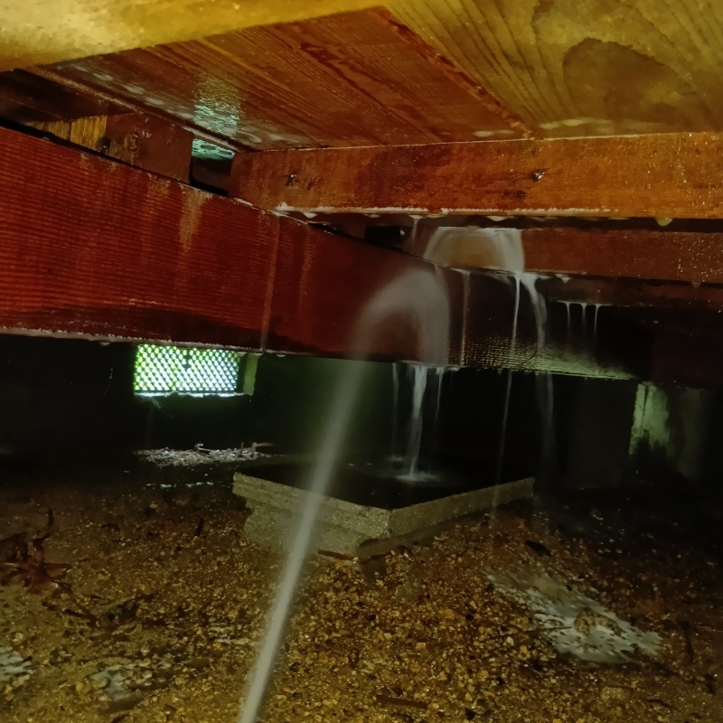 床下木材にシロアリ駆除剤を吹き付ける様子