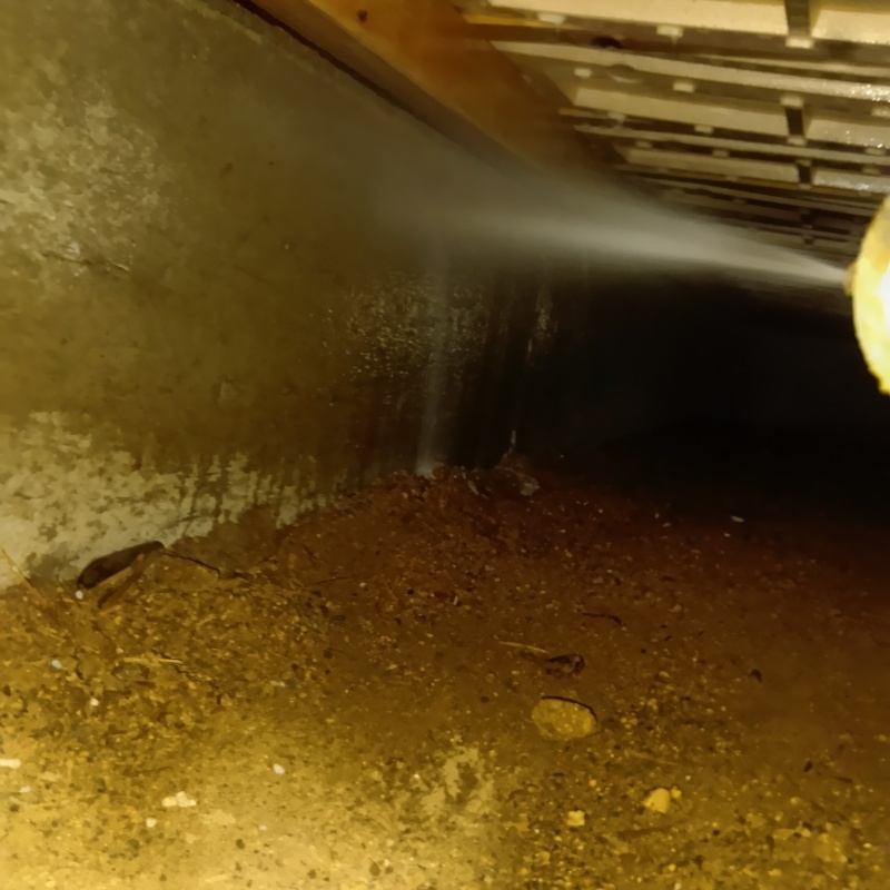 地面・基礎にシロアリ駆除剤を吹き付ける様子