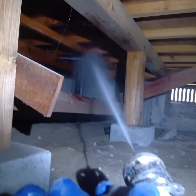 床下木材にシロアリ駆除剤を吹き付ける様子