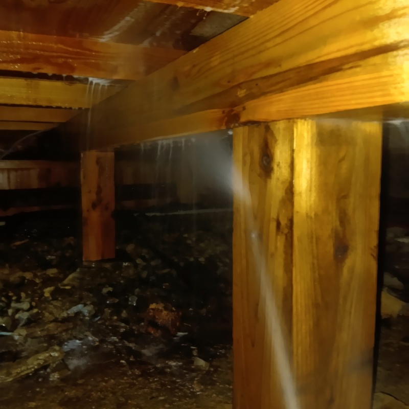 床下木材にシロアリ駆除剤を散布