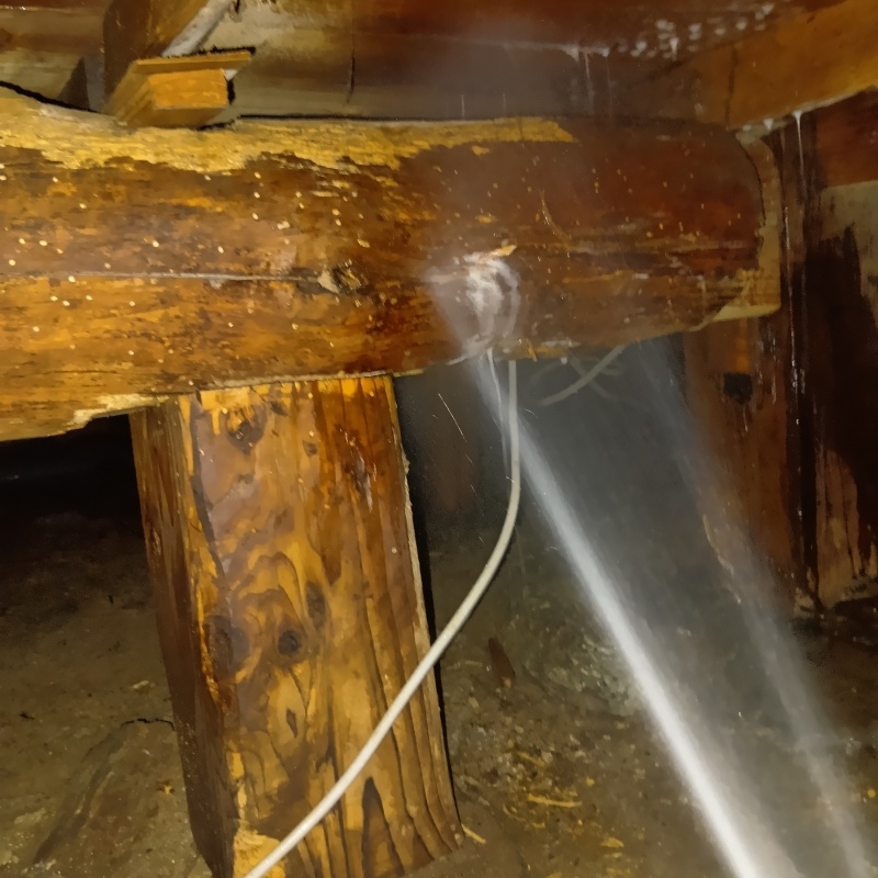床下木材にシロアリ駆除剤を吹き付けている様子