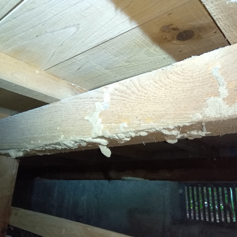 築年数50年のシロアリ駆除の施工事例（宮城県栗原市）