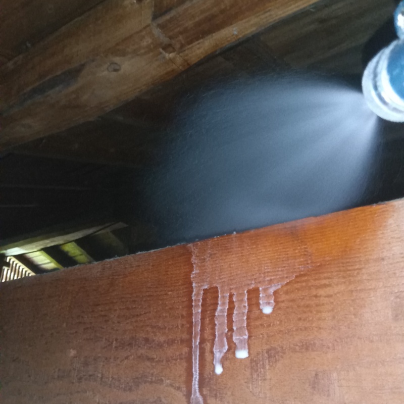 築年数90年のシロアリ駆除の施工事例（福岡県田川郡添田町）