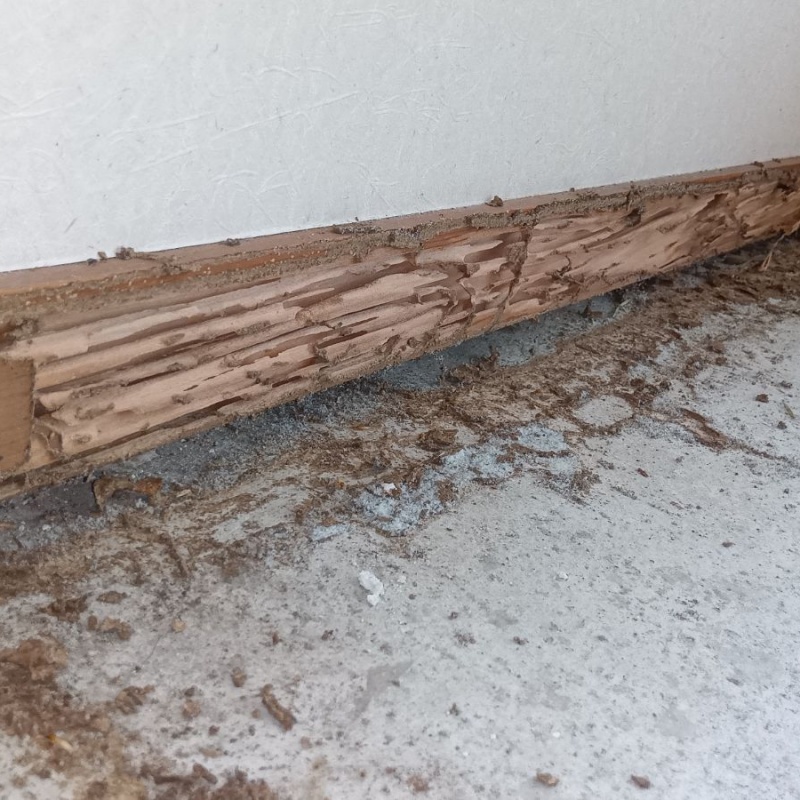 築年数40年のシロアリ駆除の施工事例（福岡県福岡市南区花畑）