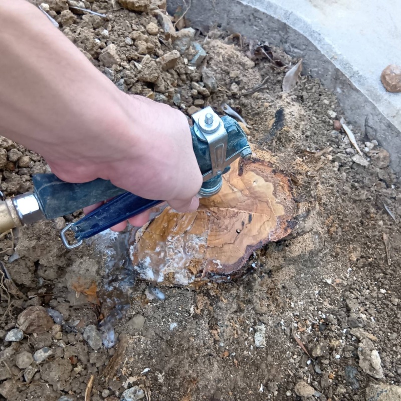 築年数10年のシロアリ予防の施工事例（静岡県浜松市中央区）