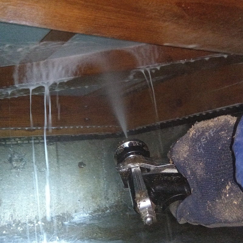 床下の木材にシロアリ駆除剤を散布