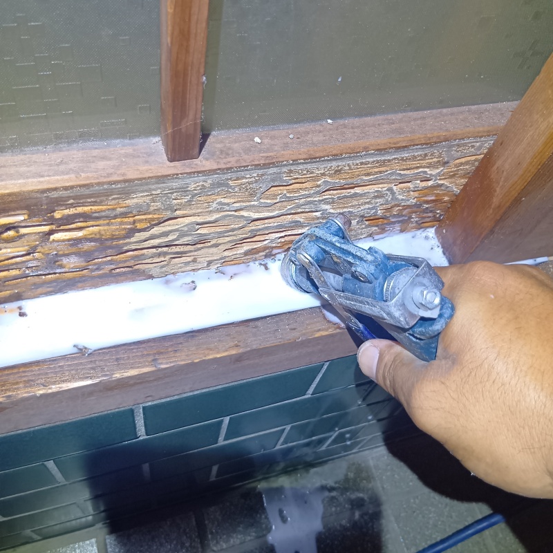 腐食した木材にシロアリ駆除剤を散布