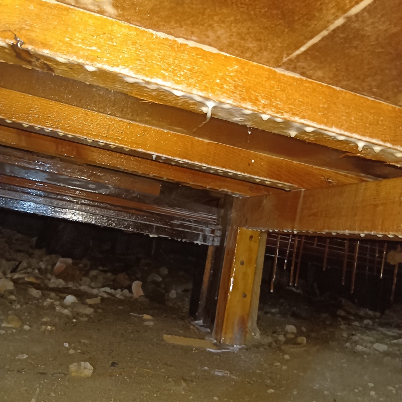 土壌処理が完了した様子