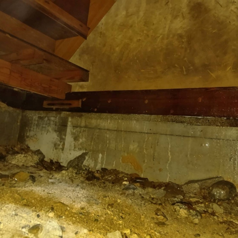 土壌処理が完了した様子