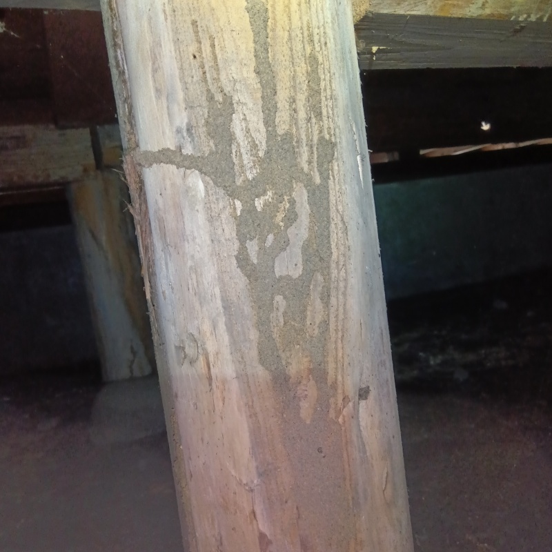 築年数70年のシロアリ駆除の施工事例（富山県富山市窪本町）