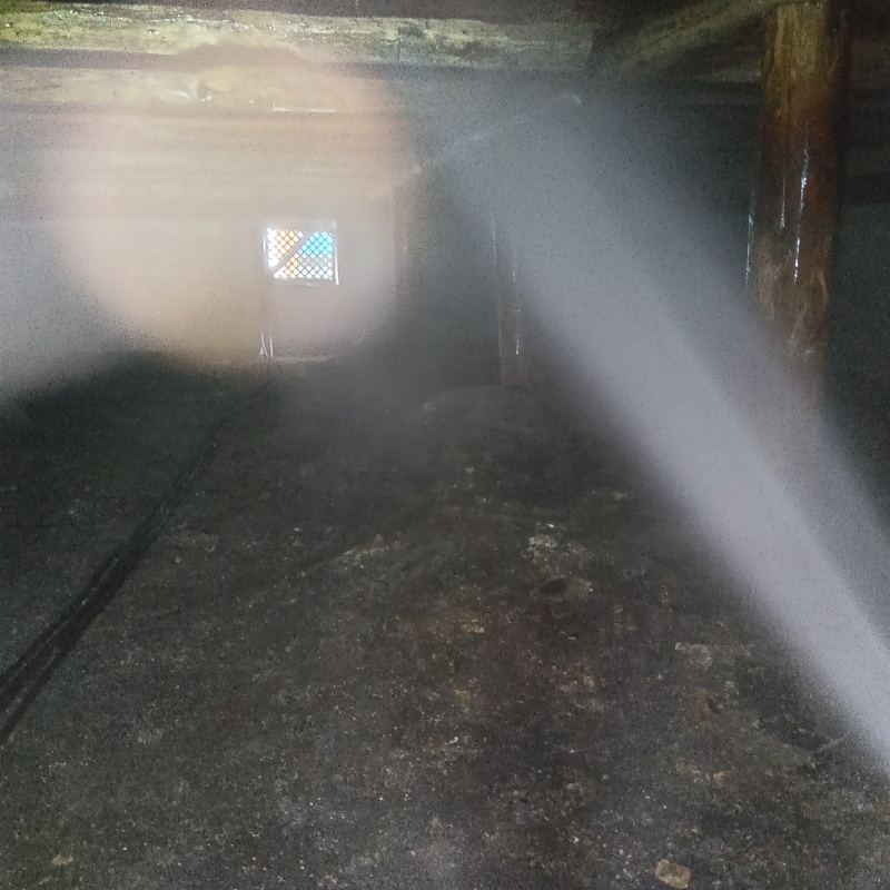 床下の木材にシロアリ駆除剤を散布