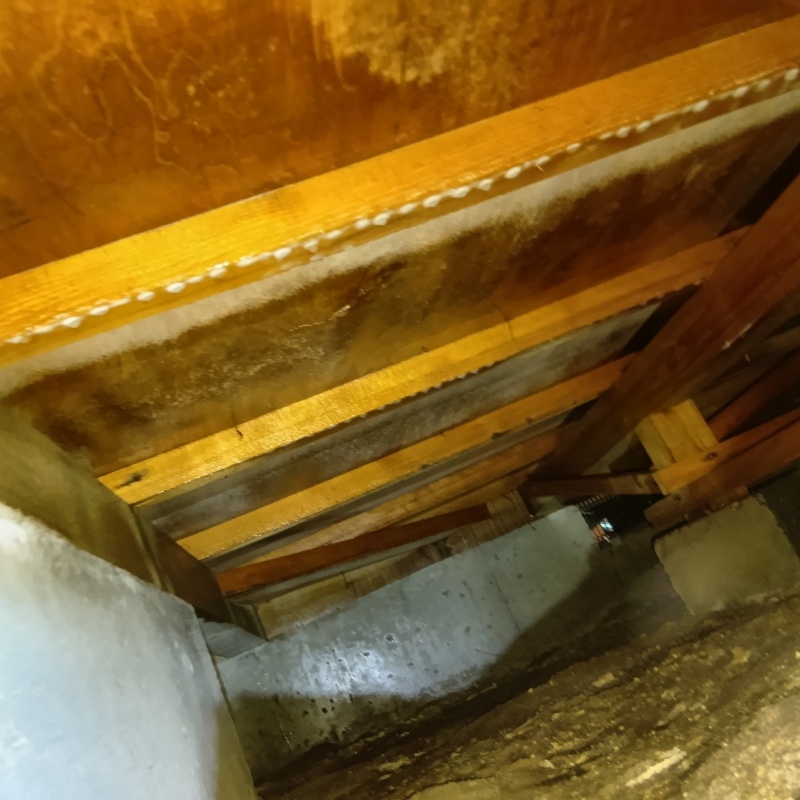 土壌処理が完了した様子