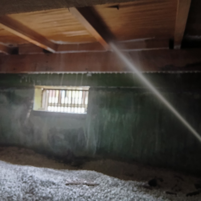 床下木材にシロアリ駆除剤を吹き付けている様子