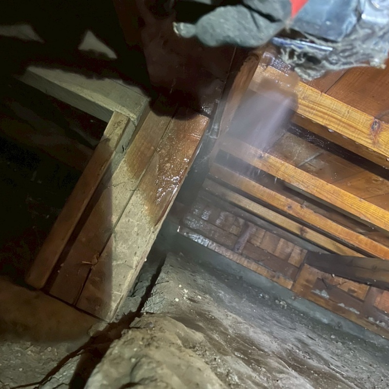 床下木材にシロアリ駆除剤を散布