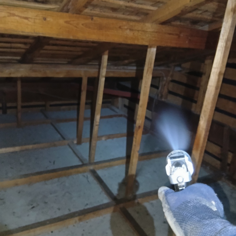 屋根裏の木材にシロアリ駆除剤を散布