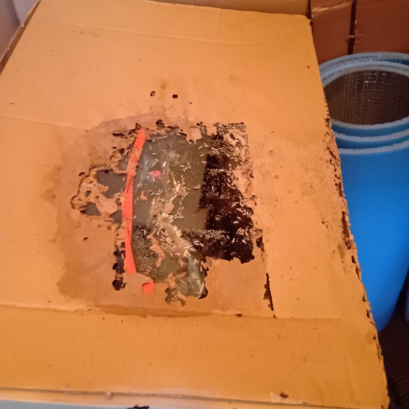 築年数30年のシロアリ駆除の施工事例（長野県上田市国分）