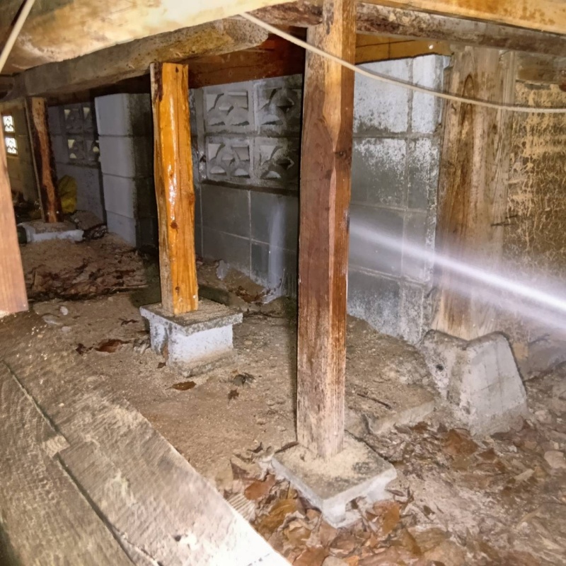 基礎にシロアリ駆除剤を散布