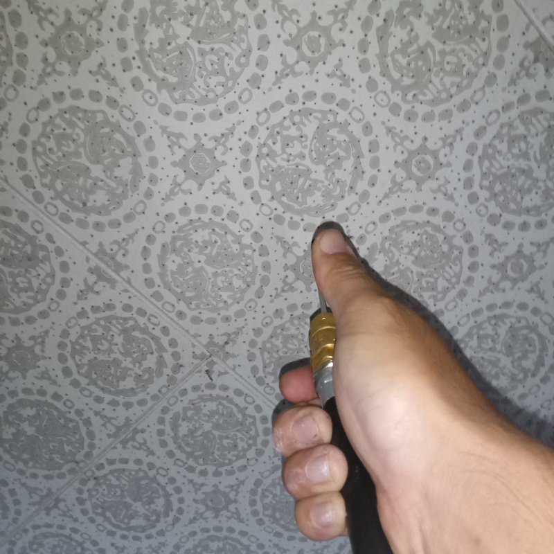 天井に穴を開けてシロアリ駆除剤を注入