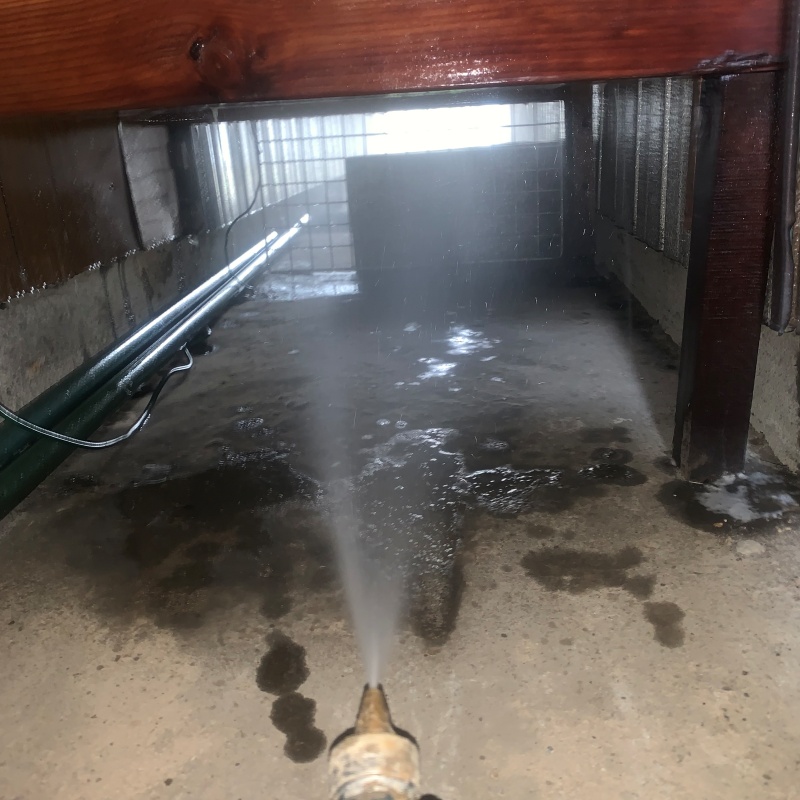 地面にシロアリ駆除剤を散布