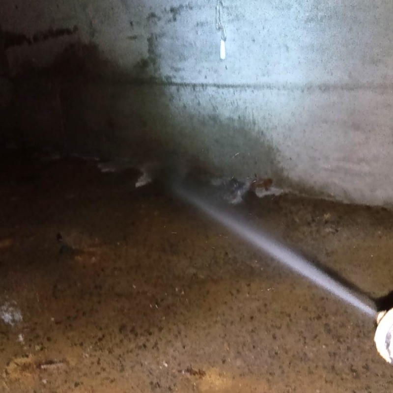 地面・基礎にシロアリ駆除剤を散布