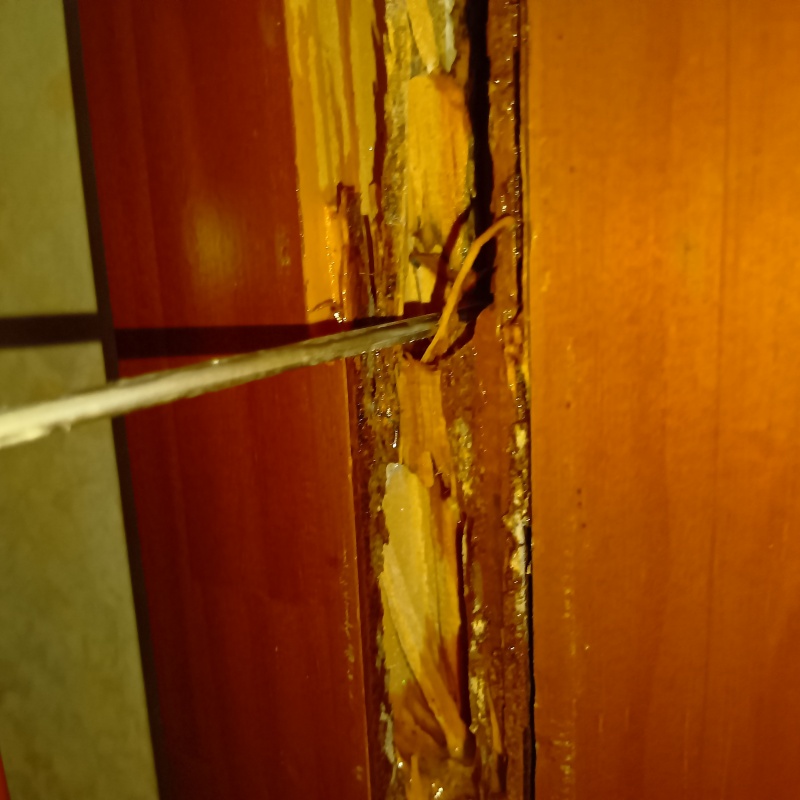 木材の亀裂にシロアリ駆除剤を散布