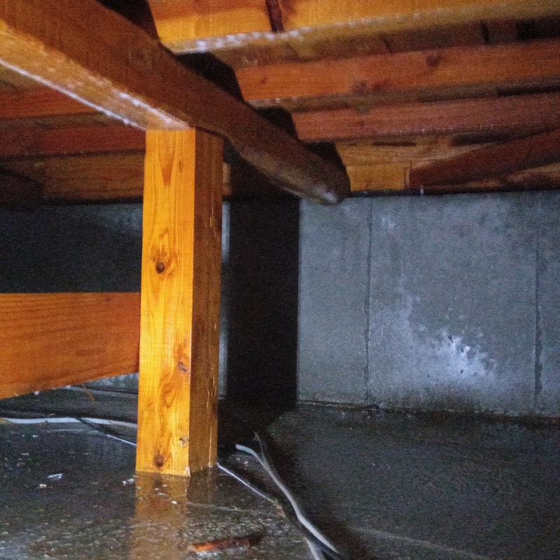 地面・基礎に防蟻剤を散布