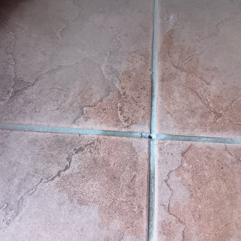 シロアリ駆除剤を注入するための穴を開けた様子