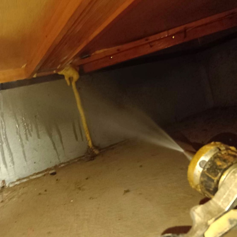 基礎に防蟻剤を散布